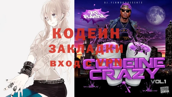 крисы Арсеньев