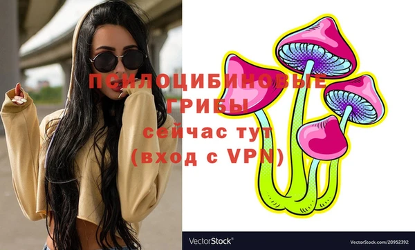 кокс Армянск
