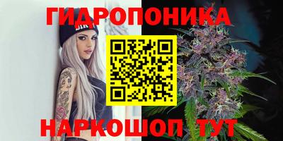 a pvp Шебекино