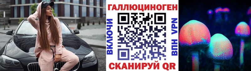 где купить   Аша  Псилоцибиновые грибы прущие грибы 