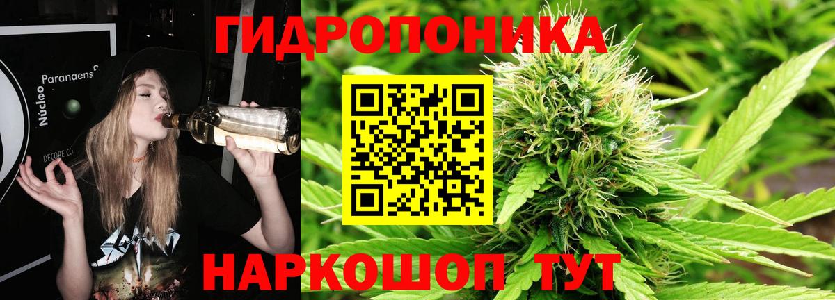 Бошки марихуана Bruce Banner Аша